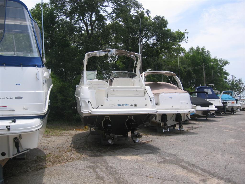 IMG_6520 1024x768.JPG